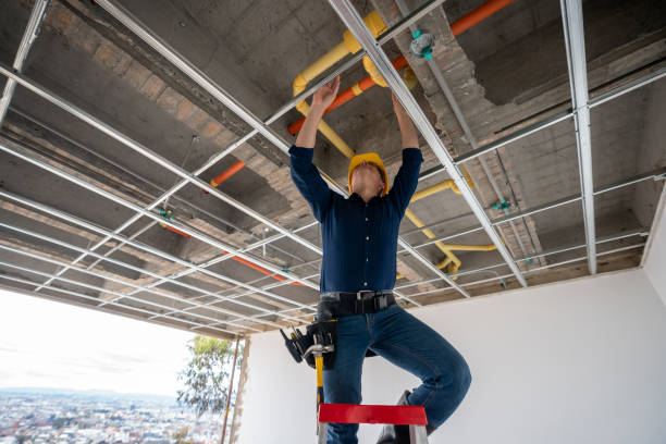 Best 24-Hour Plumber Near Me  in Minneota, MN
