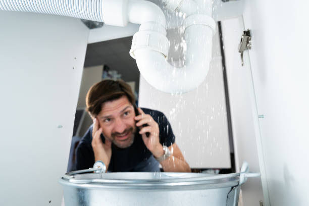 Best Septic Systems  in Minneota, MN