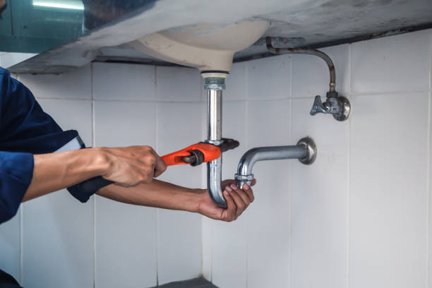 Best Emergency Plumber  in Minneota, MN