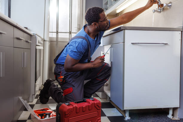 Best Water Softener Installation  in Minneota, MN